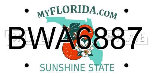 BWA6887 Florida License Plate