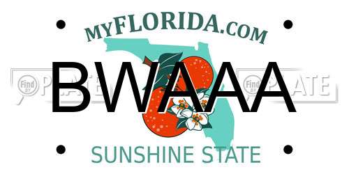 BWAAA Florida License Plate