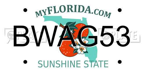BWAG53 Florida License Plate