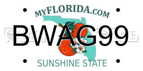 BWAG99 Florida License Plate