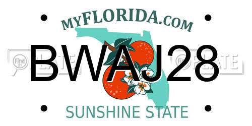 BWAJ28 Florida License Plate
