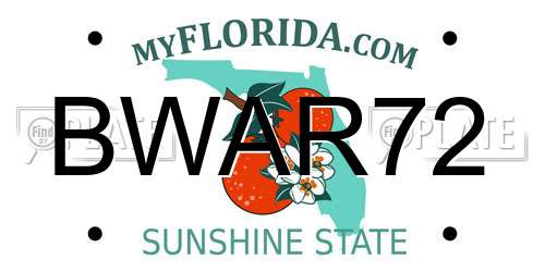 BWAR72 Florida License Plate
