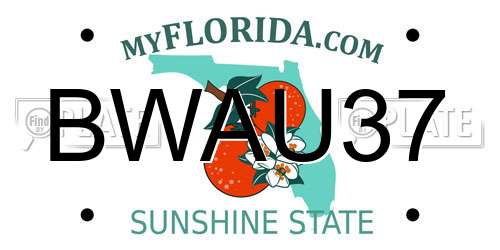 BWAU37 Florida License Plate