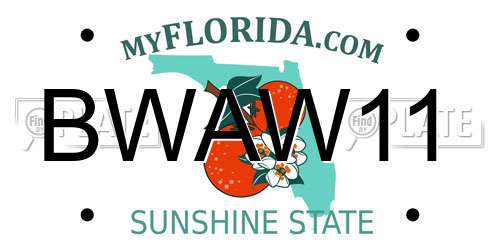 BWAW11 Florida License Plate