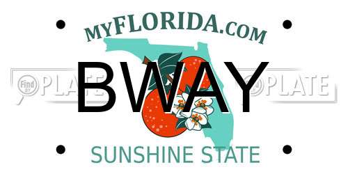 BWAY Florida License Plate