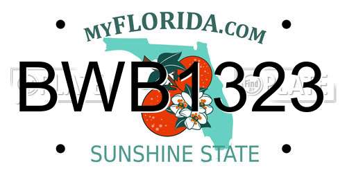 BWB1323 Florida License Plate