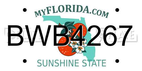 BWB4267 Florida License Plate