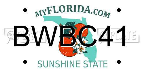 BWBC41 Florida License Plate