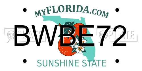 BWBE72 Florida License Plate