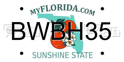 BWBH35 Florida License Plate