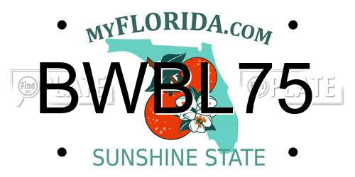 BWBL75 Florida License Plate