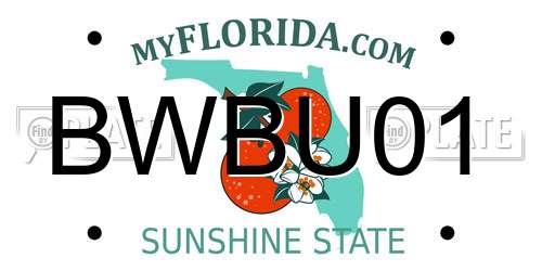 BWBU01 Florida License Plate