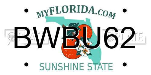 BWBU62 Florida License Plate