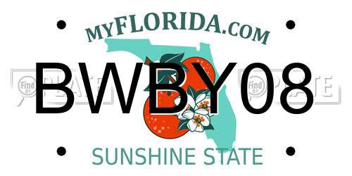 BWBY08 Florida License Plate