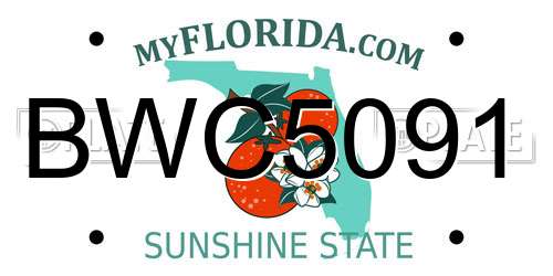 BWC5091 Florida License Plate