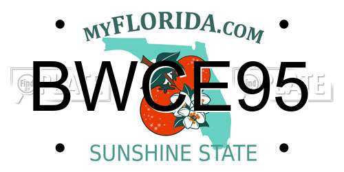 BWCE95 Florida License Plate