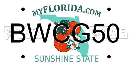 BWCG50 Florida License Plate