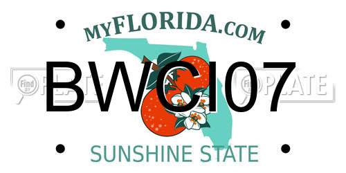 BWCI07 Florida License Plate