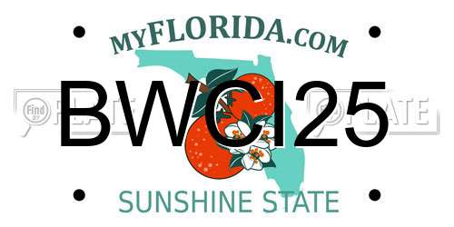 BWCI25 Florida License Plate