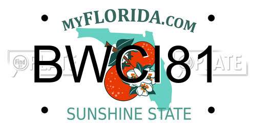 BWCI81 Florida License Plate
