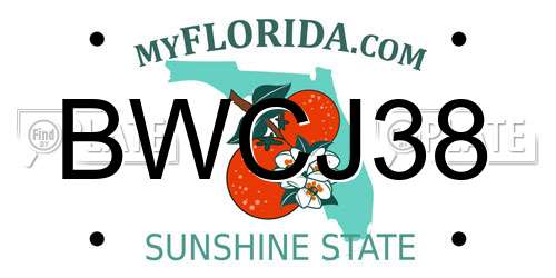 BWCJ38 Florida License Plate