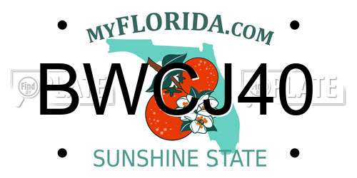 BWCJ40 Florida License Plate