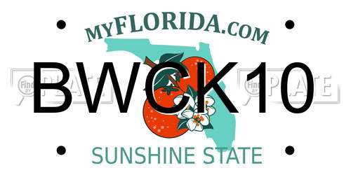 BWCK10 Florida License Plate