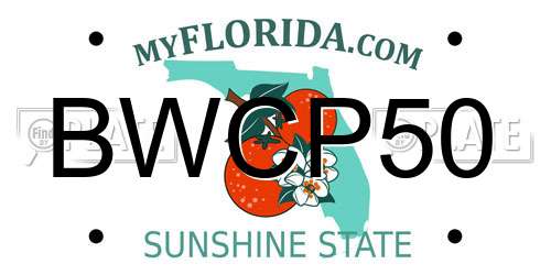 BWCP50 Florida License Plate