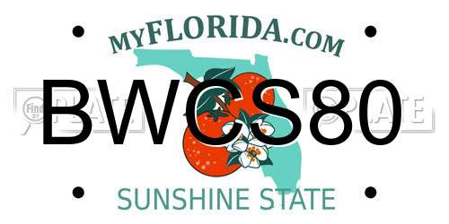 BWCS80 Florida License Plate