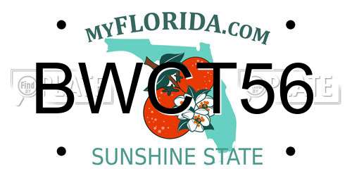 BWCT56 Florida License Plate