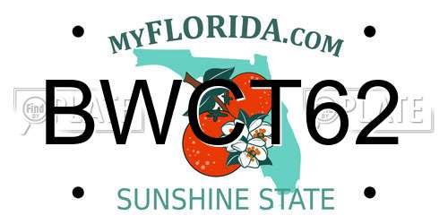 BWCT62 Florida License Plate