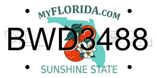 BWD3488 Florida License Plate