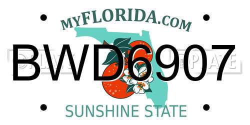 BWD6907 Florida License Plate
