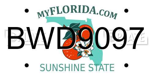 BWD9097 Florida License Plate