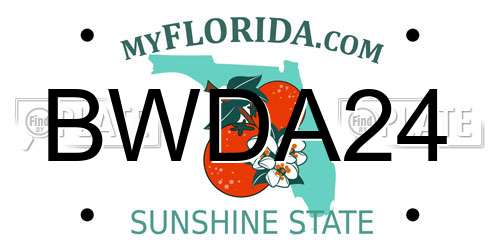 BWDA24 Florida License Plate