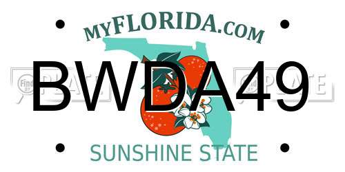 BWDA49 Florida License Plate