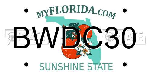 BWDC30 Florida License Plate