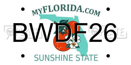 BWDF26 Florida License Plate