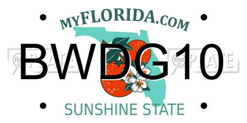 BWDG10 Florida License Plate