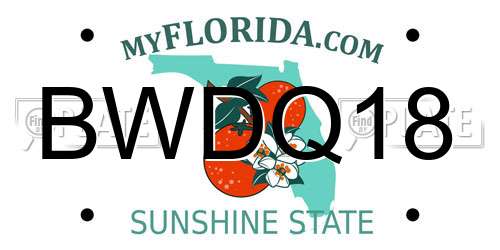 BWDQ18 Florida License Plate