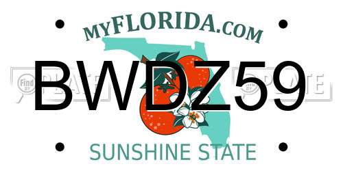 BWDZ59 Florida License Plate