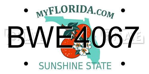 BWE4067 Florida License Plate