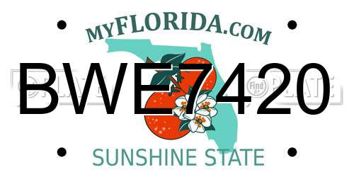 BWE7420 Florida License Plate