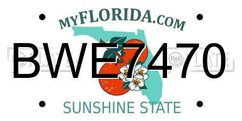 BWE7470 Florida License Plate