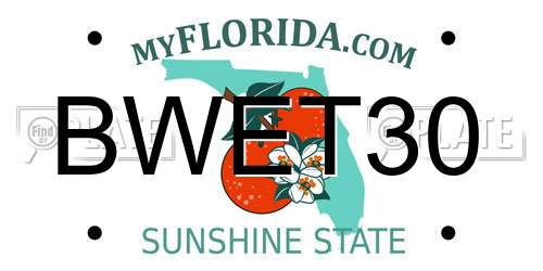 BWET30 Florida License Plate