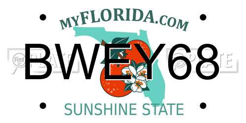 BWEY68 Florida License Plate