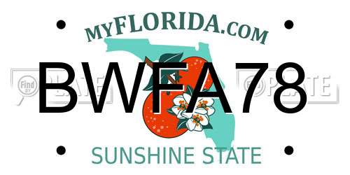 BWFA78 Florida License Plate