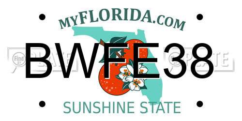 BWFE38 Florida License Plate
