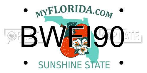 BWFI90 Florida License Plate