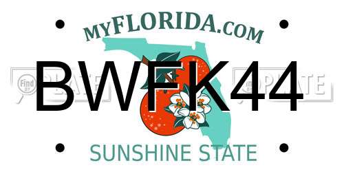 BWFK44 Florida License Plate